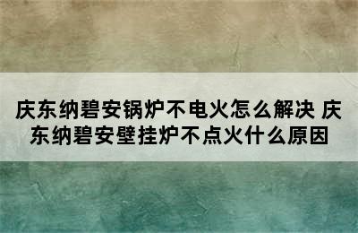 庆东纳碧安锅炉不电火怎么解决 庆东纳碧安壁挂炉不点火什么原因